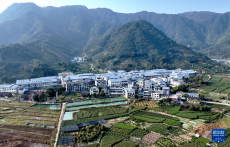 赤溪村的鄉(xiāng)村振興新氣象